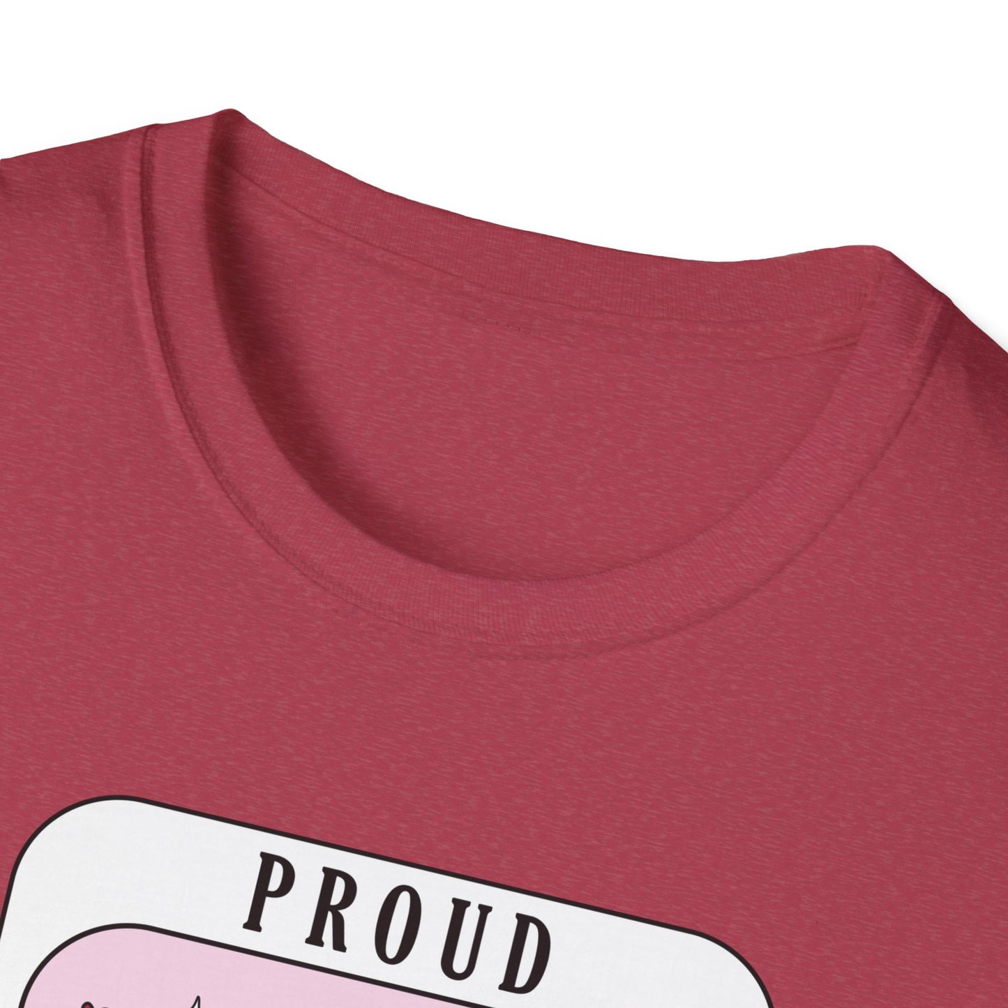 Proud Smut Reader Unisex Softstyle T-Shirt, Reading Apparel, Book Lover Gift, Casual Wear, Literary Humor, Birthday Gift