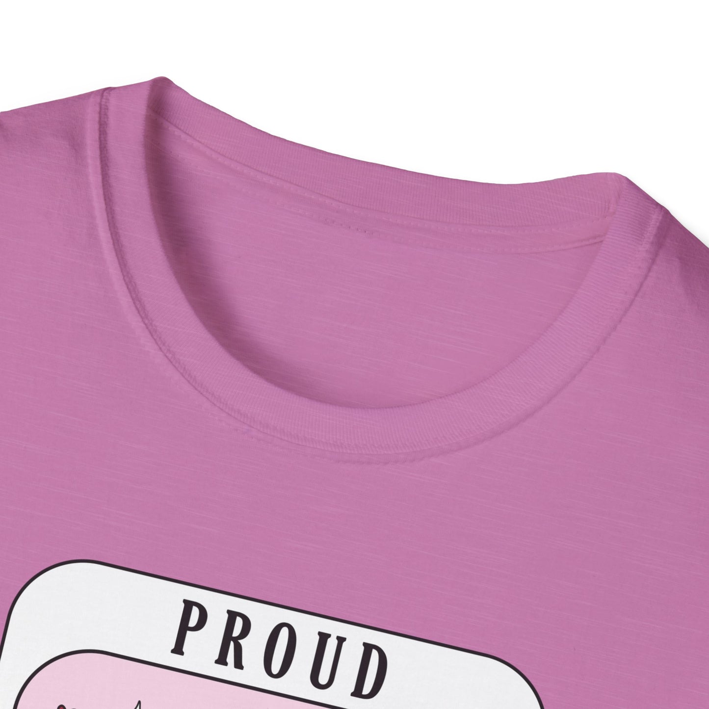 Proud Smut Reader Unisex Softstyle T-Shirt, Reading Apparel, Book Lover Gift, Casual Wear, Literary Humor, Birthday Gift