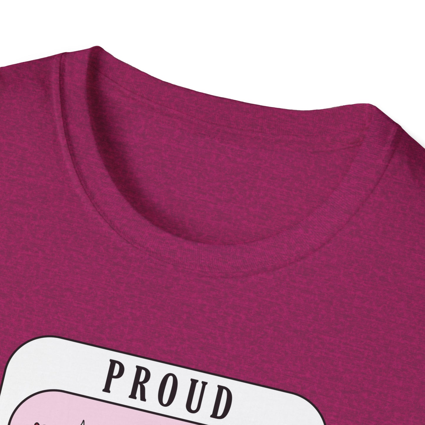 Proud Smut Reader Unisex Softstyle T-Shirt, Reading Apparel, Book Lover Gift, Casual Wear, Literary Humor, Birthday Gift